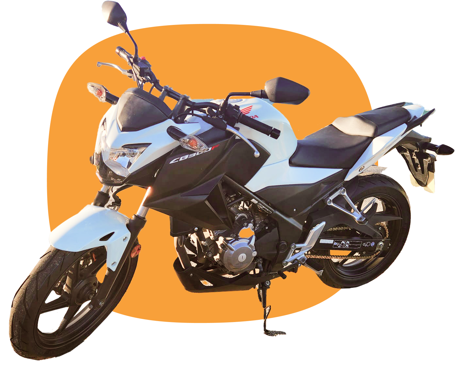 Motor Renter | Rent, Ride, Explore