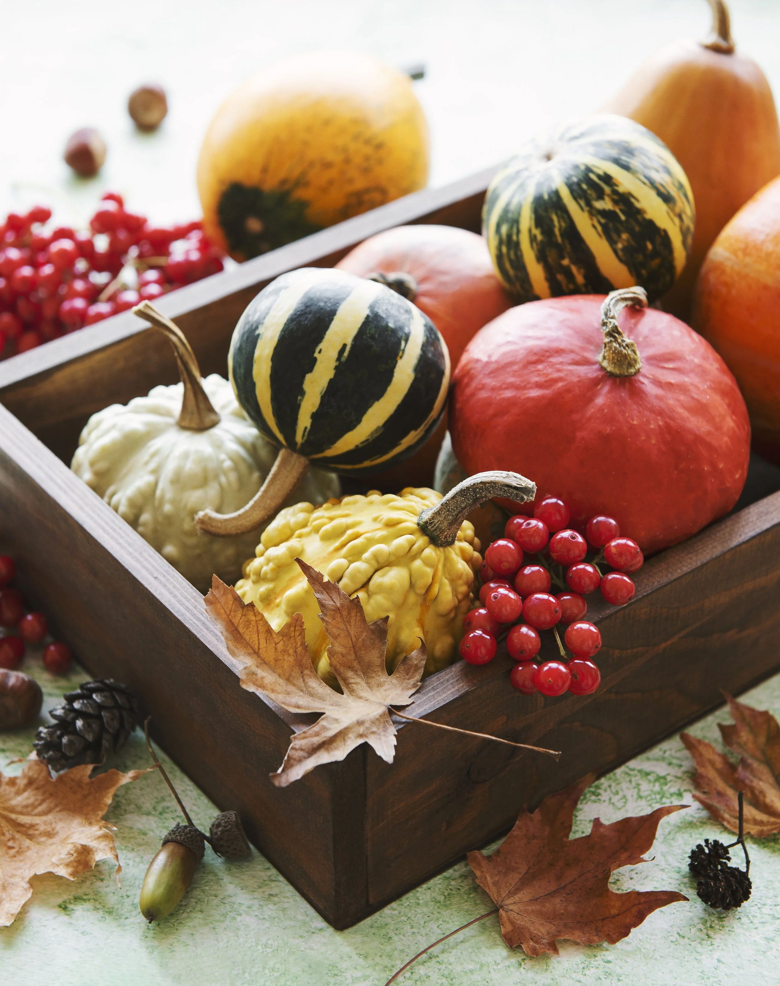 Feed Your Gut this Autumn