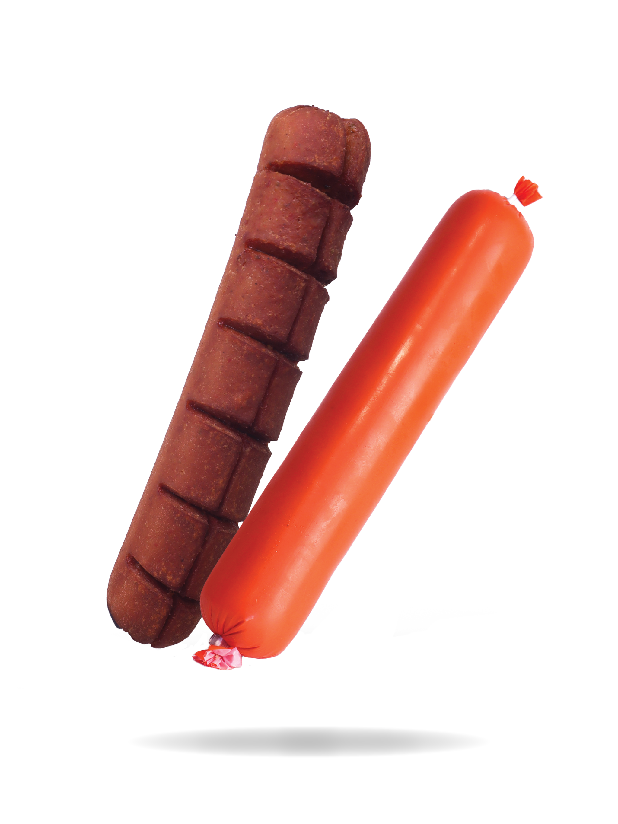 Vleesworst en een stuk gekookte ham in een casing op een witte achtergrond