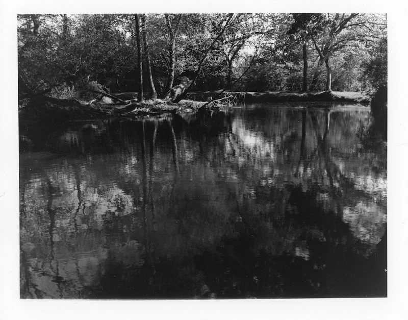 Brockenhurst Stream 5