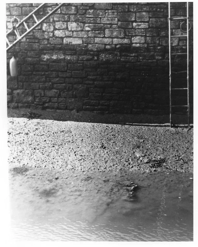 Keyhaven Ladders 1
