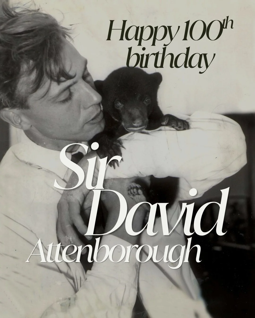&ldquo;This quote from Sir David Attenborough is at the foundation of why we do what we do at Safaris for the Soul&hellip;&rdquo;

&ldquo;No one will protect what they don&rsquo;t care about, and no one will care about what they have never experience