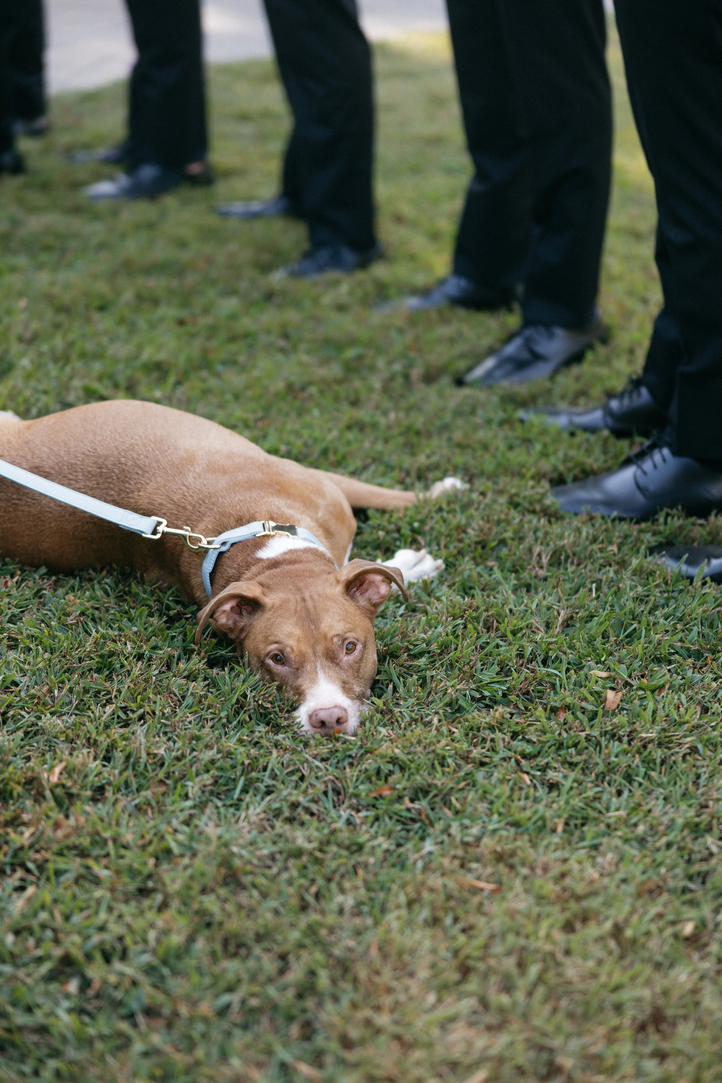 tennessee-photographer-knoxville-wedding-photography2-6123.jpg