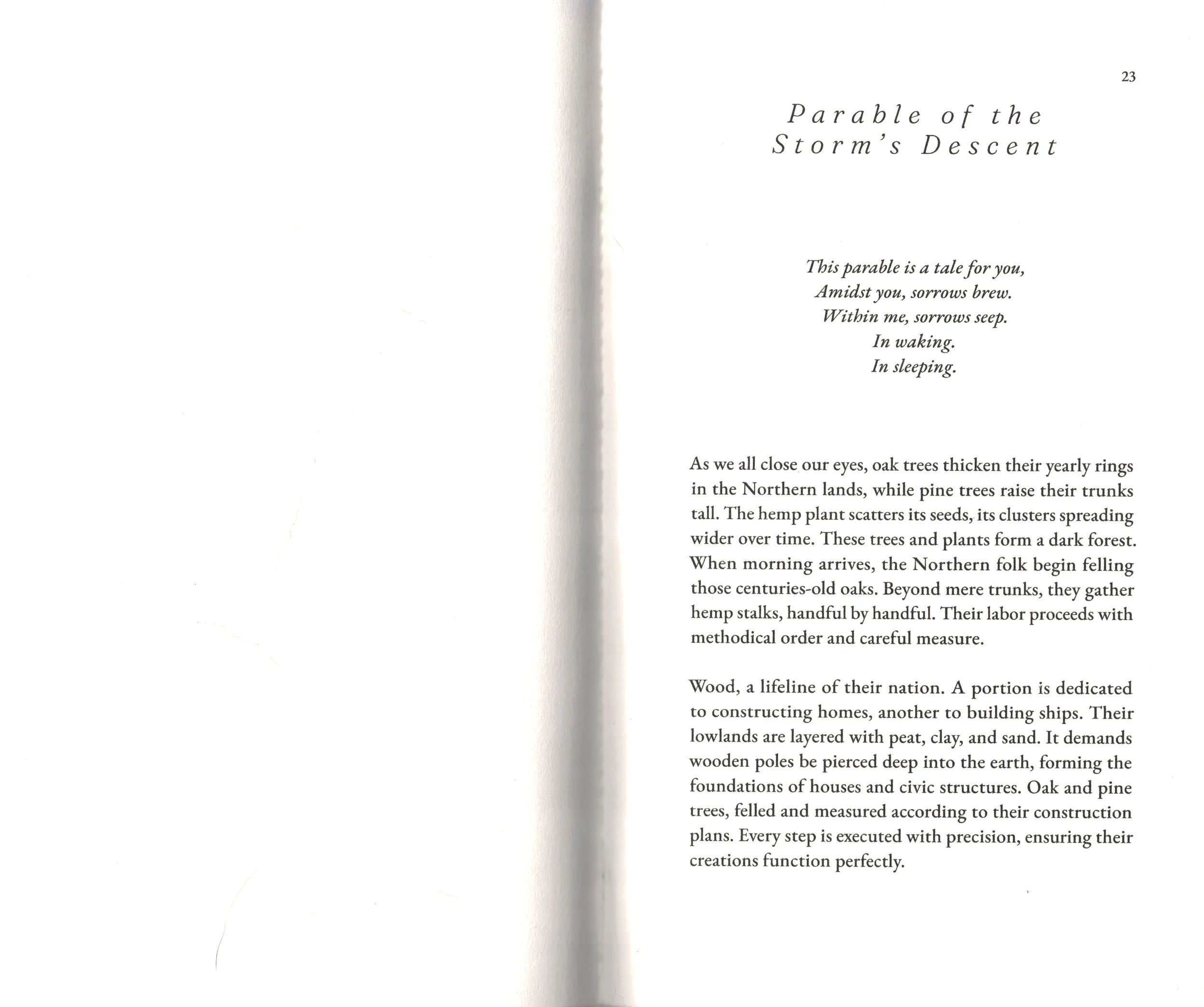 Parable of the Storm's Descent copy copy.jpg