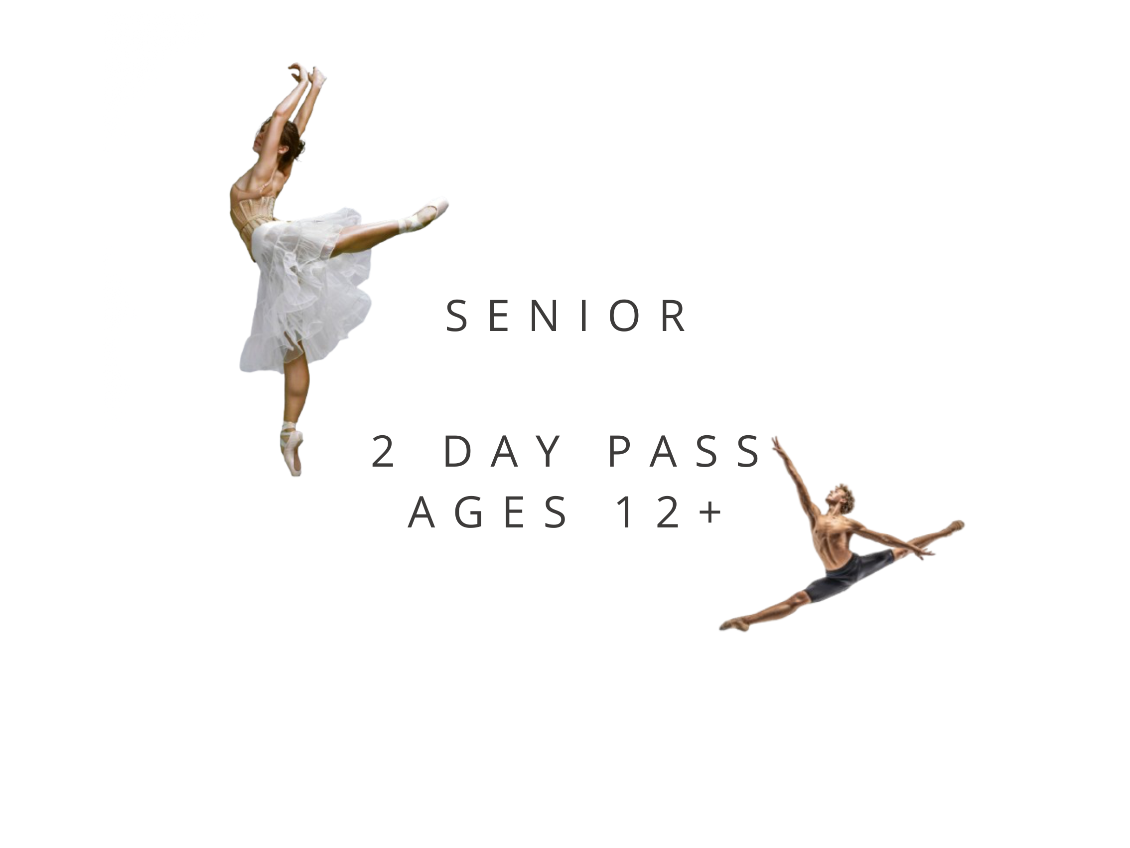 Senior 2 Day Workshop Ages 12+
