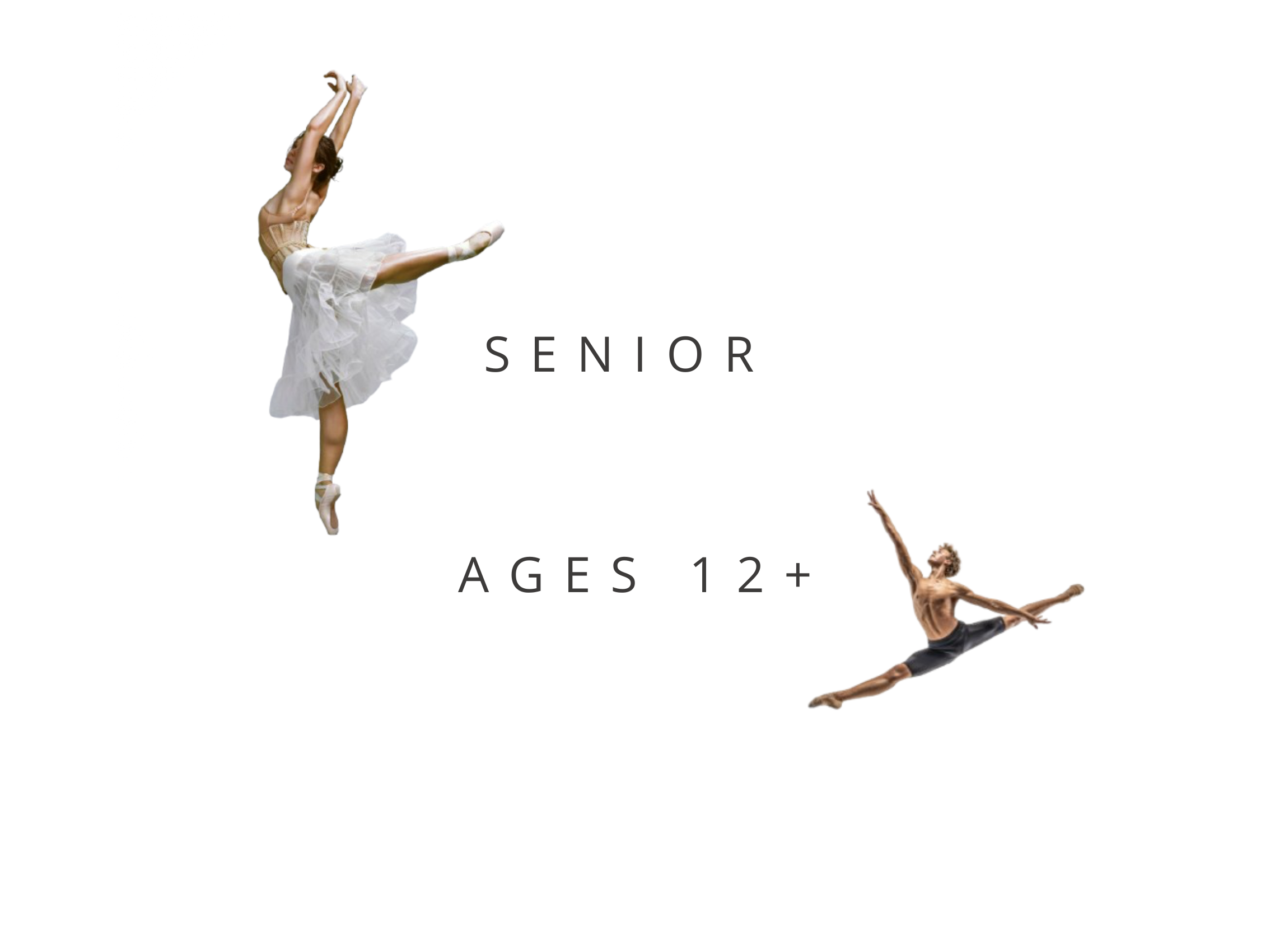 Senior 1 Day  Workshop Ages 12+