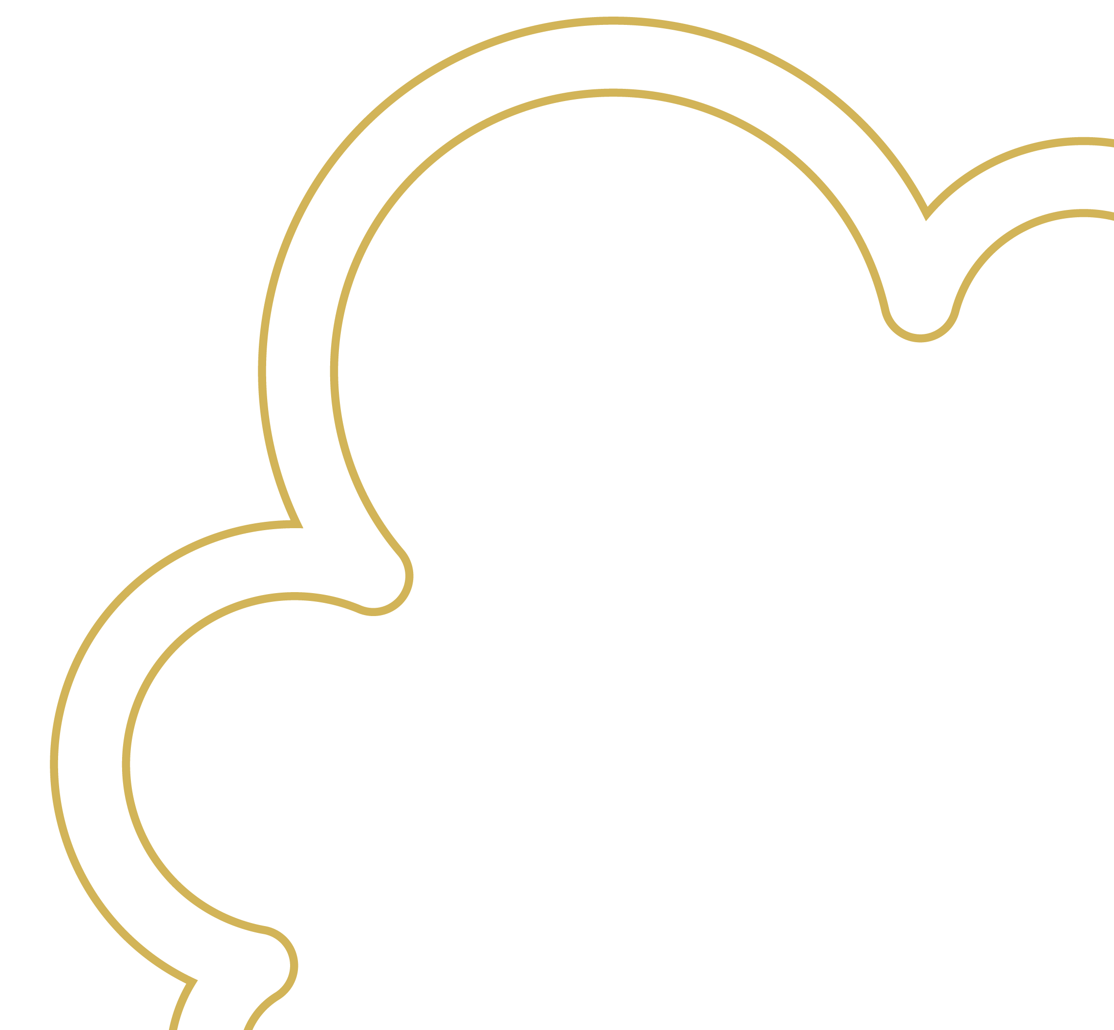 Outline of a stylized mountain or hill with curved lines resembling layers of geological strata in gold against a black background.