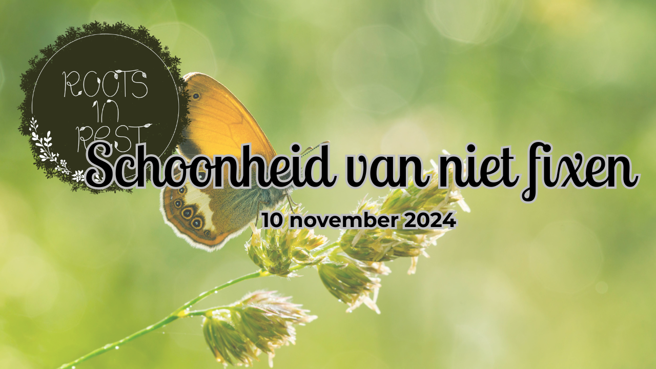 Schoonheid van niet fixen - 10 november 2024