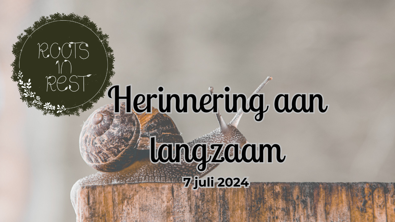 herinnering aan langzaam.png
