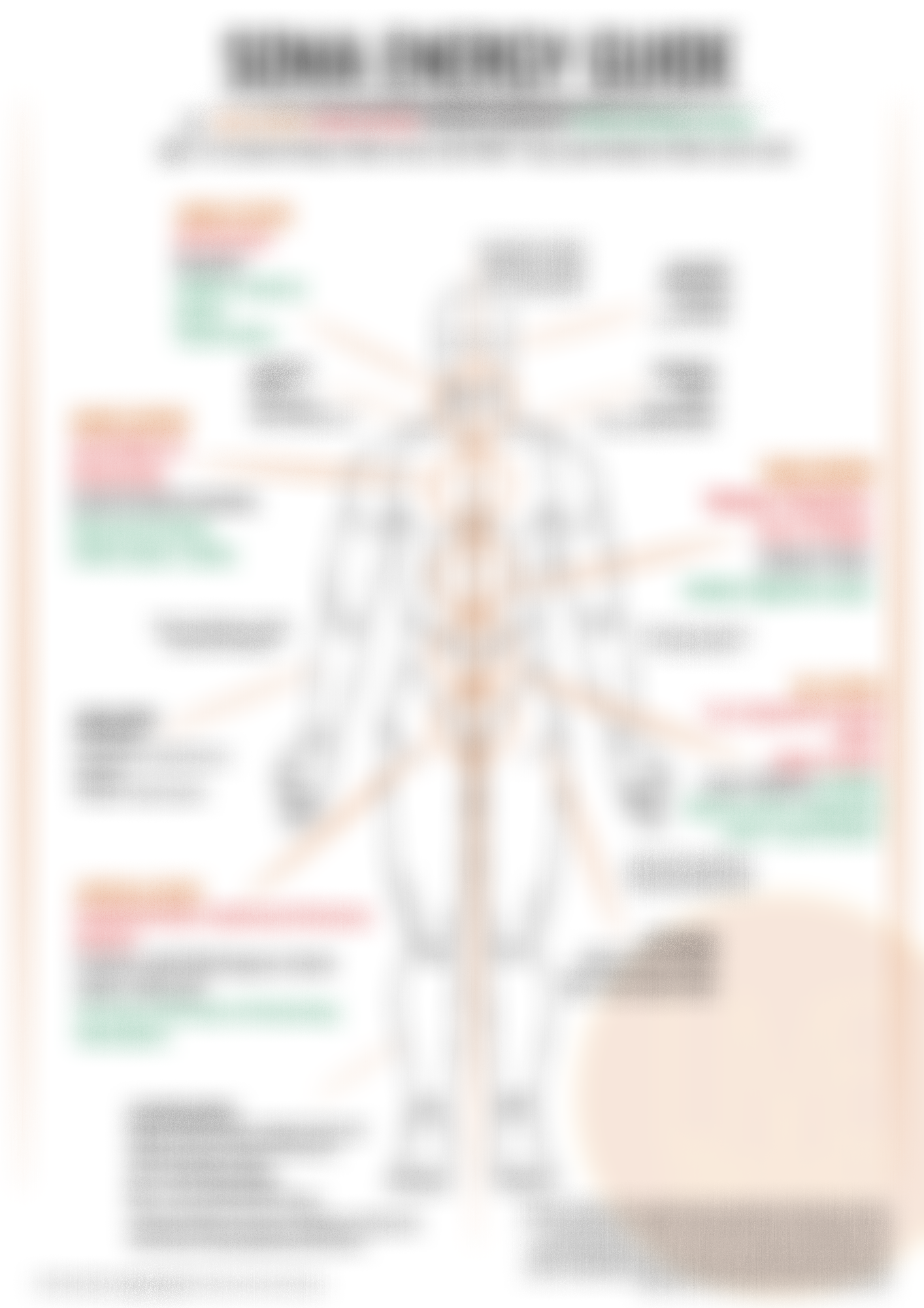 Somatic Guide Wall Chart - Digital Download