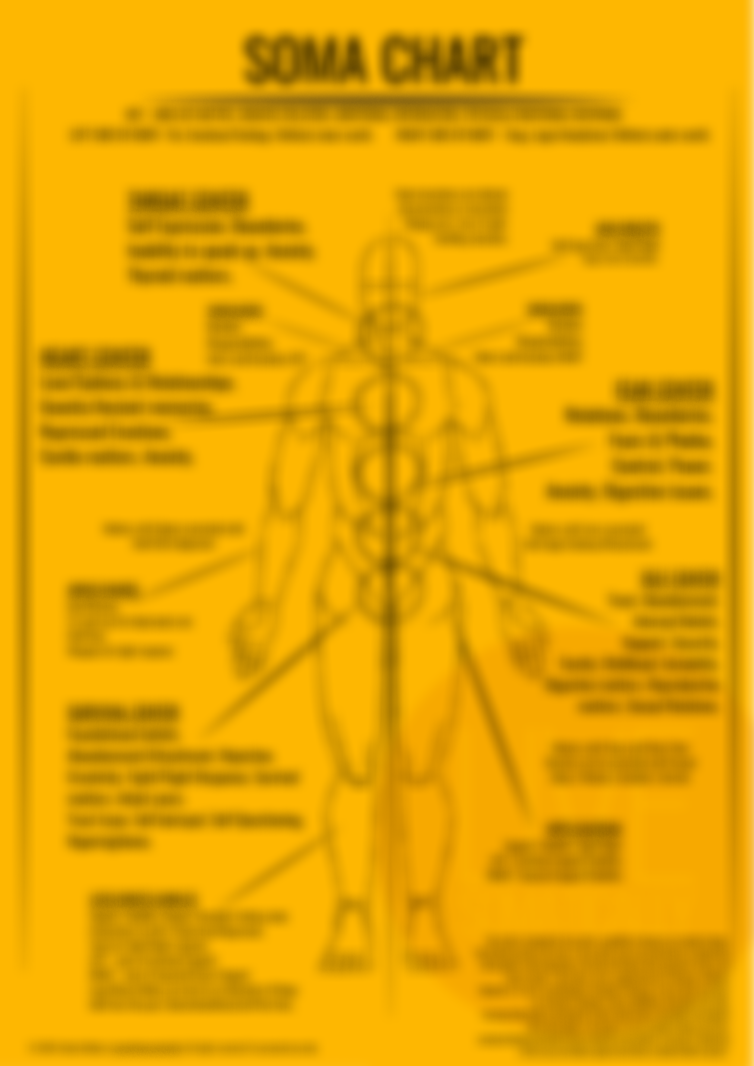 Somatic Guide Wall Chart A2 (Neuro-Diverse friendly version)
