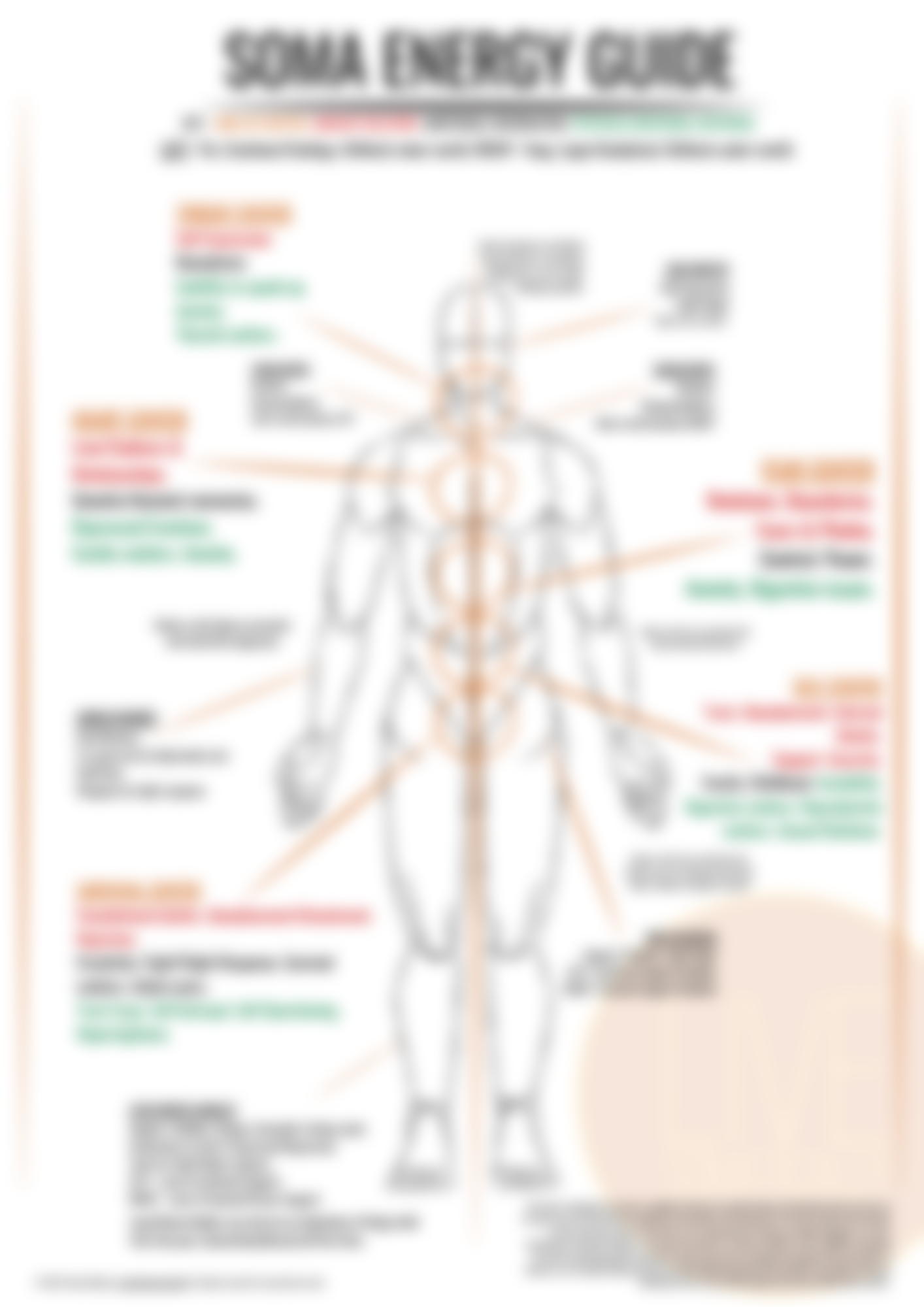 Somatic Guide Wall Chart A2