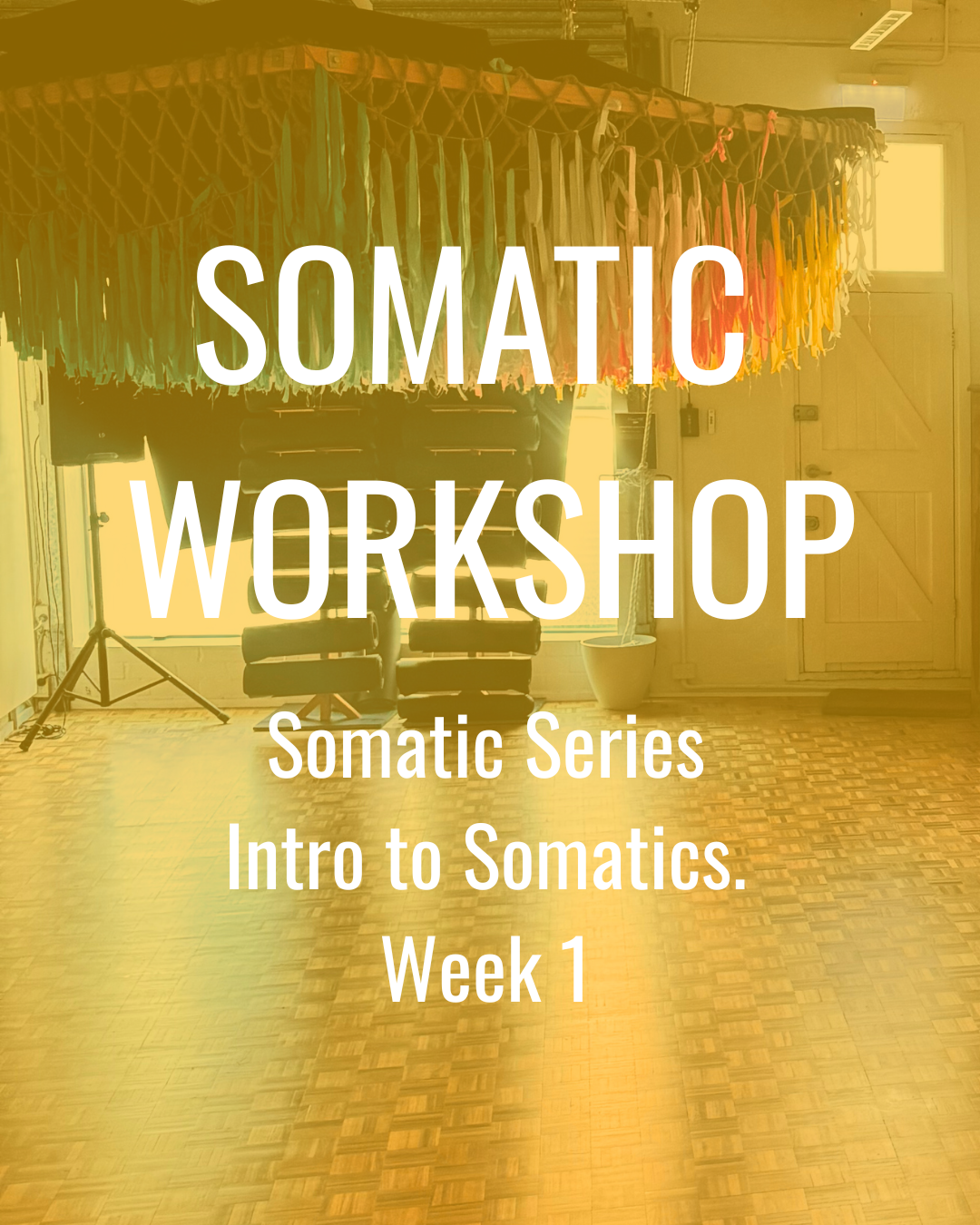 Learn to live Somatically. Introduction to Somatics Workshop. 6.30pm, 22/02/26 @  Zenly, St Peters.
