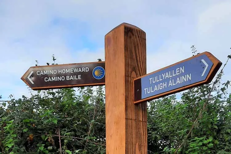 Walk of Fame: Boyne Valley Camino Nominated for Pride of Place Award After Raising €200k for Charity