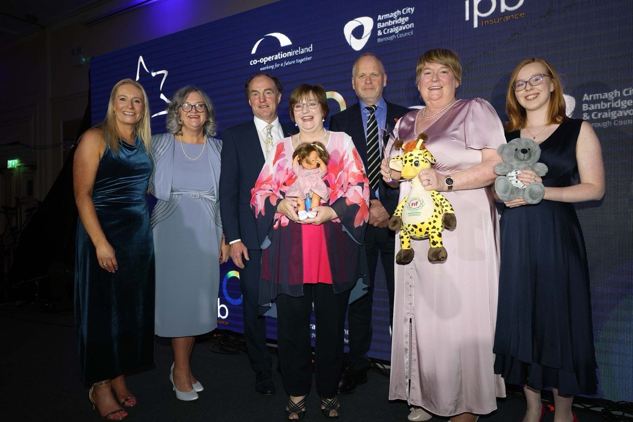 Maynooth Access Group, Kildare County Council. Winner of Creative Place: Initiative Winner.