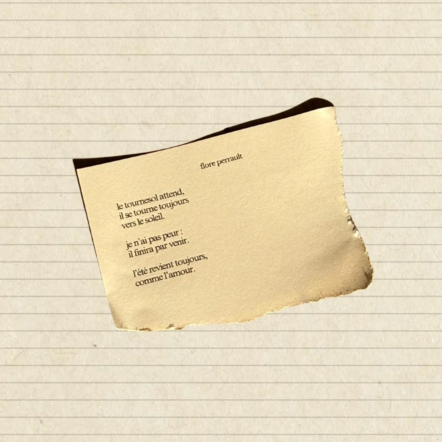 petite publication tardive 📙✨🫢