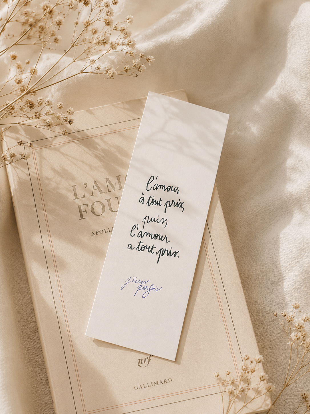 443AE3B3-11F6-4440-A0C7-A6DA25B31F1D.png