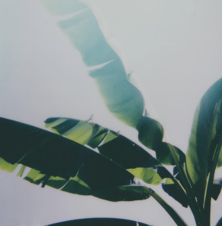 Capture d’écran 2026-03-11 à 08.55.13.png