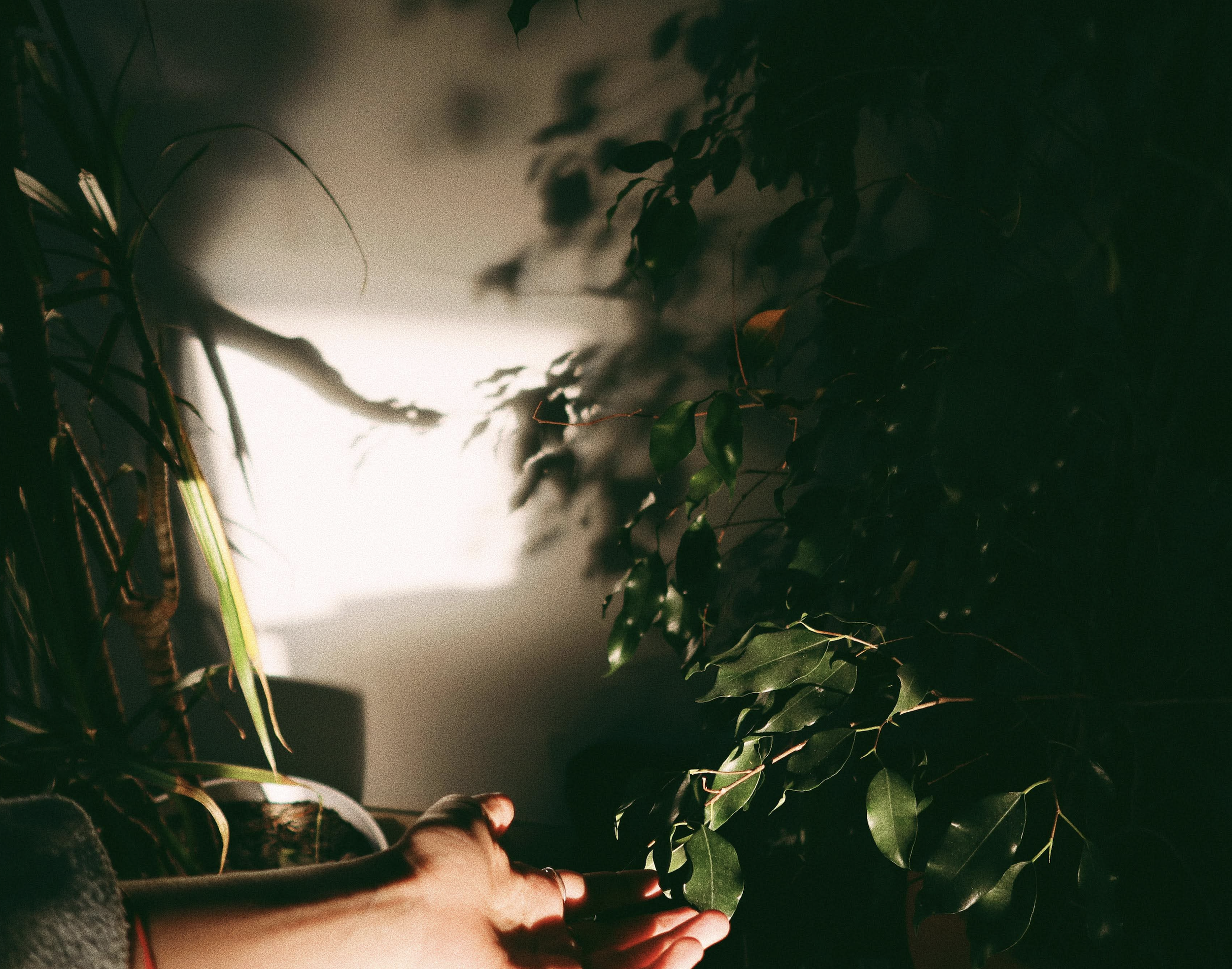 Capture d’écran 2026-03-11 à 08.52.51.png