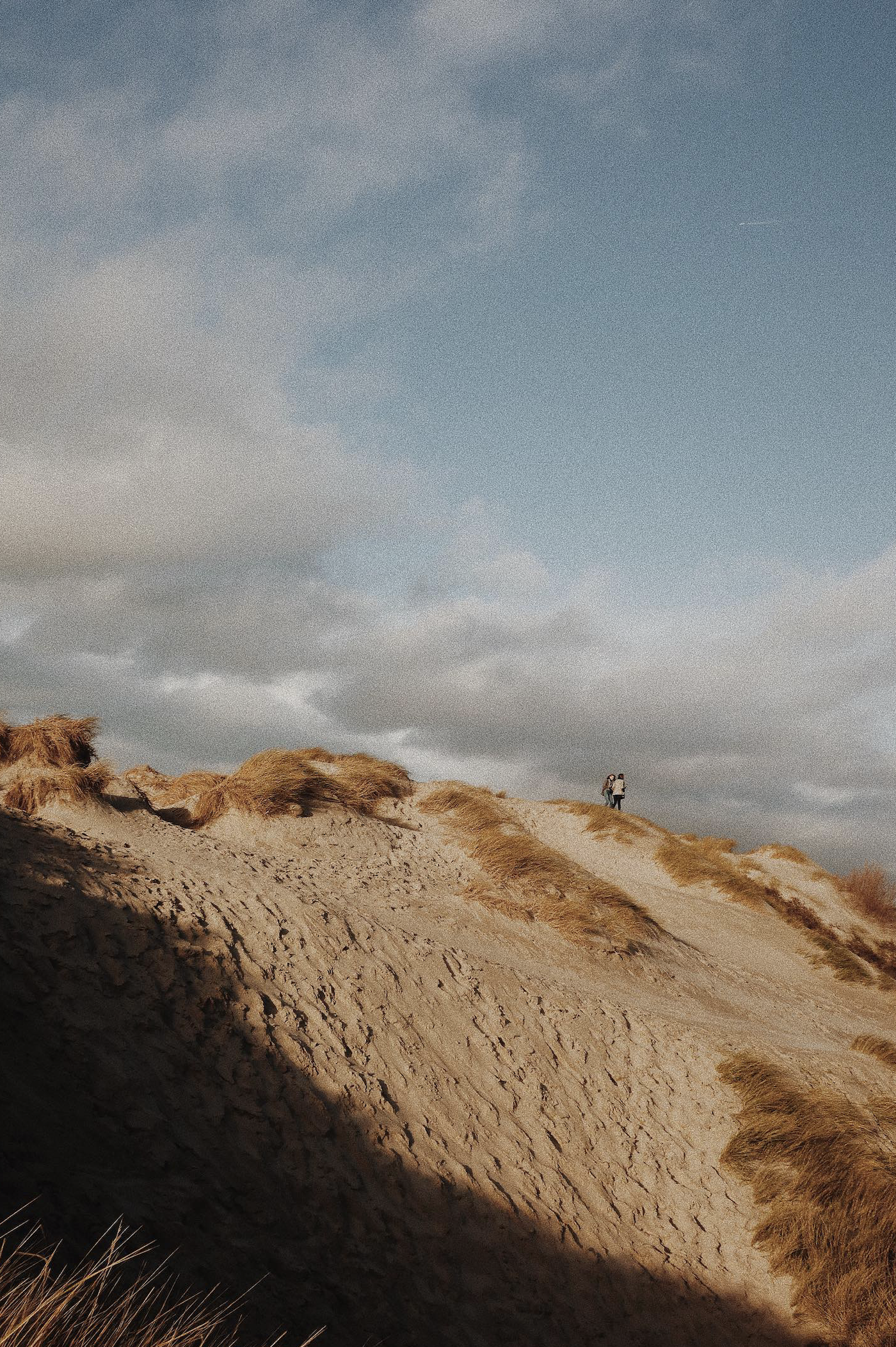 Capture d’écran 2026-03-11 à 08.53.14.png