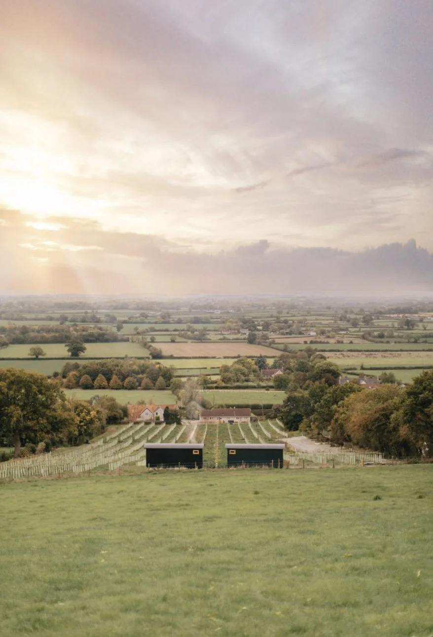 Wraxall Vineyard Kip Hideaways.jpg