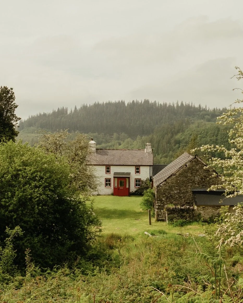 HAFOD GWYLLT – CWMYSTWYTH, WALES.jpg