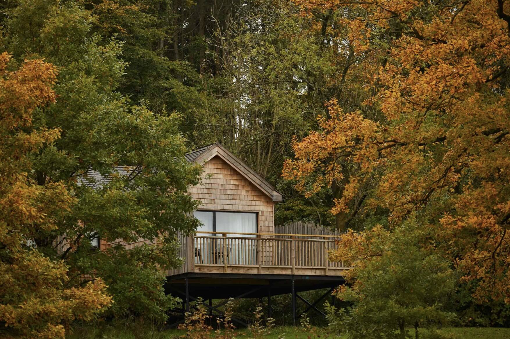 The Tawny autumn stays.jpg