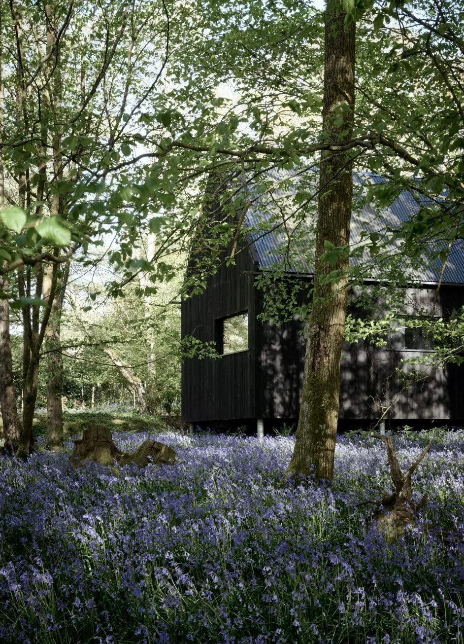 Cabin at the Wood Kip Hideaways 1.jpg