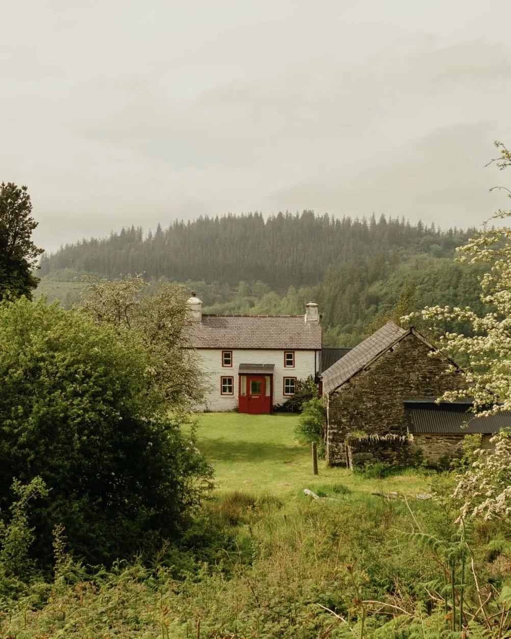 Hafod Gwyllt.jpg