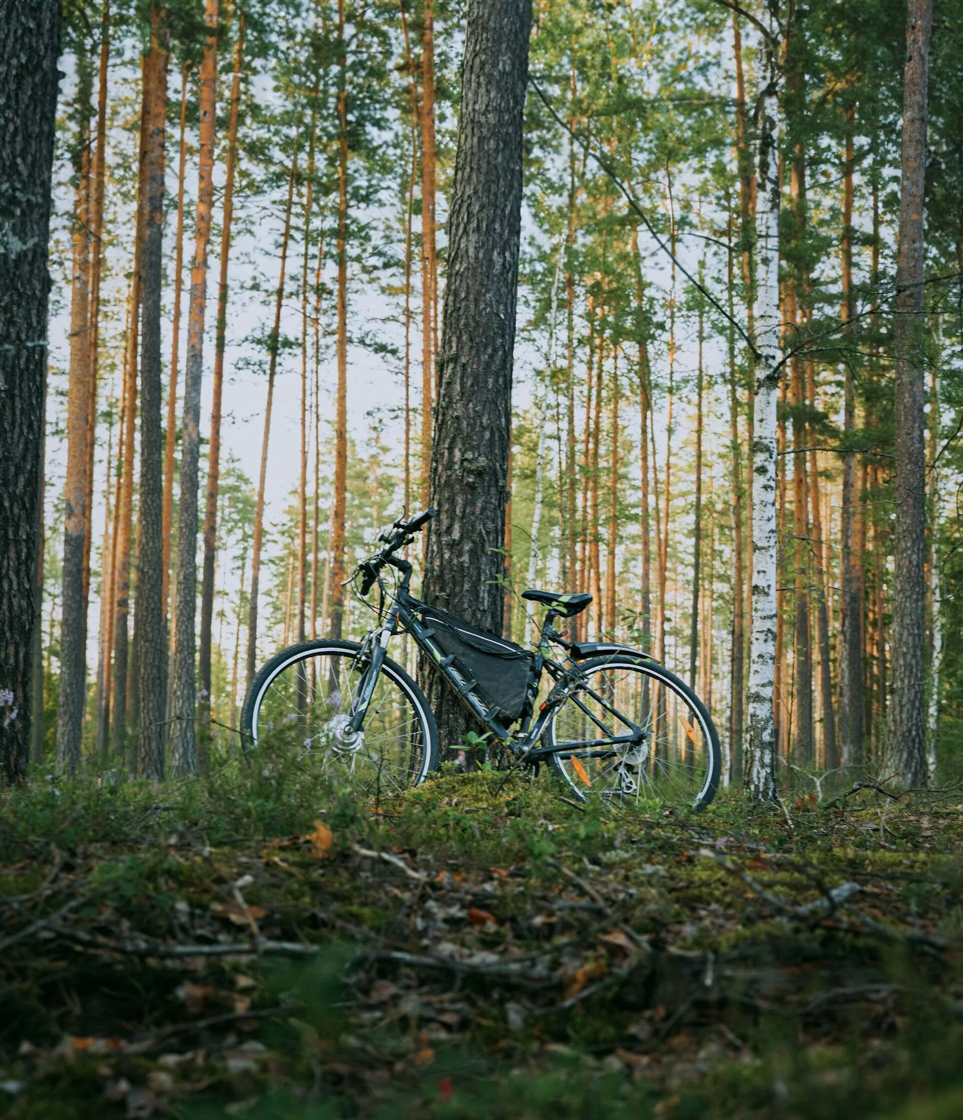Cycling 1.jpeg
