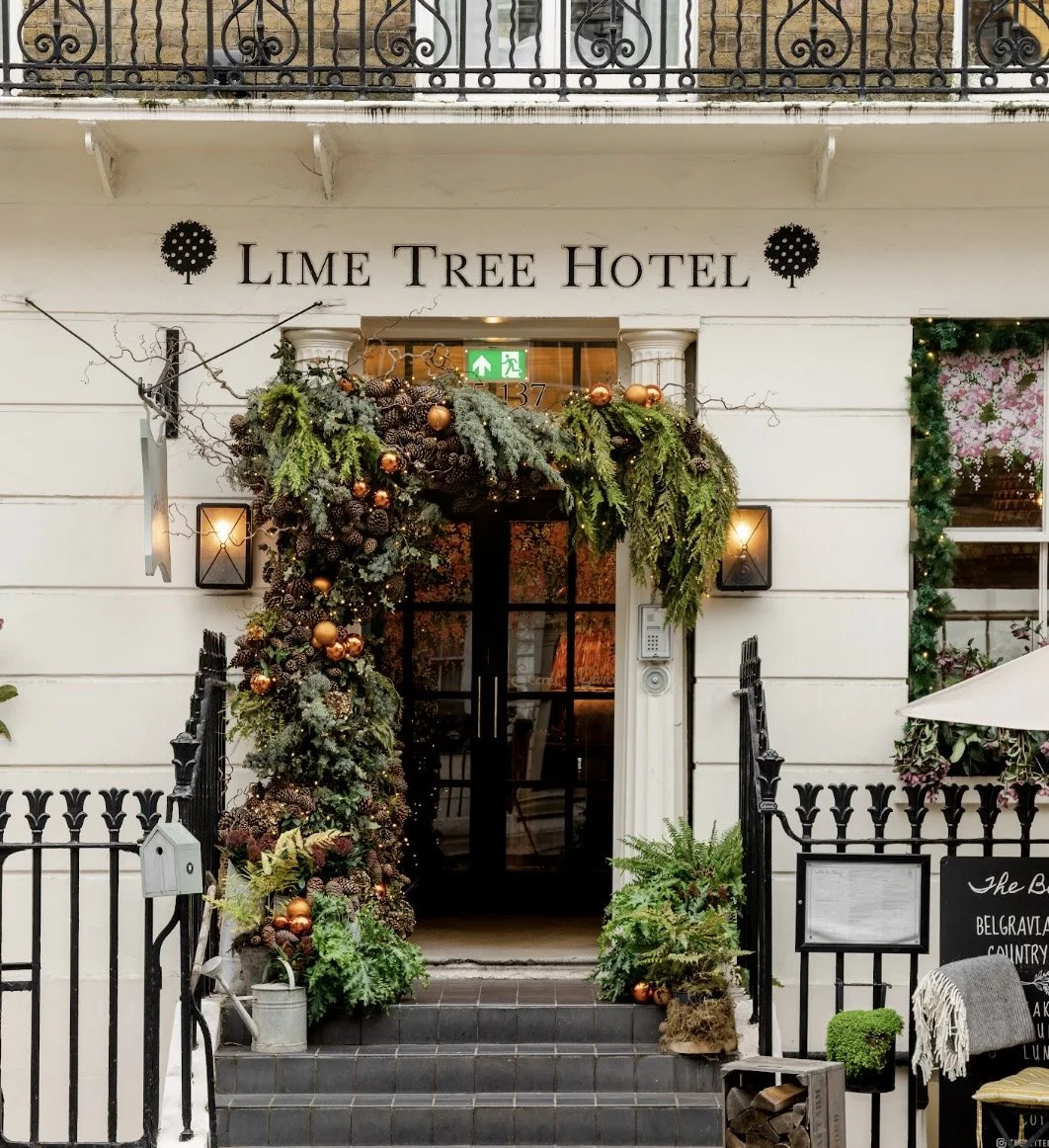 Lime Tree 2.jpg