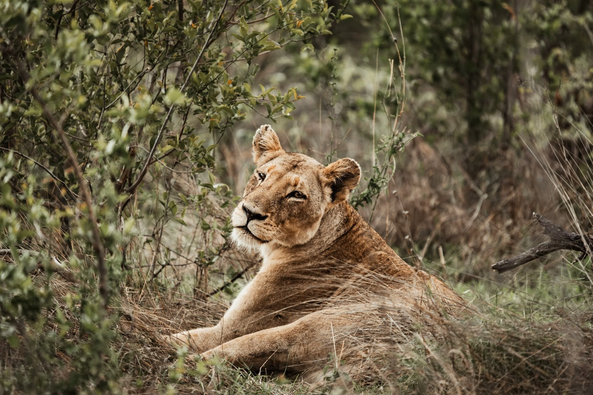 Travelling well — A conversation with Nour Azem