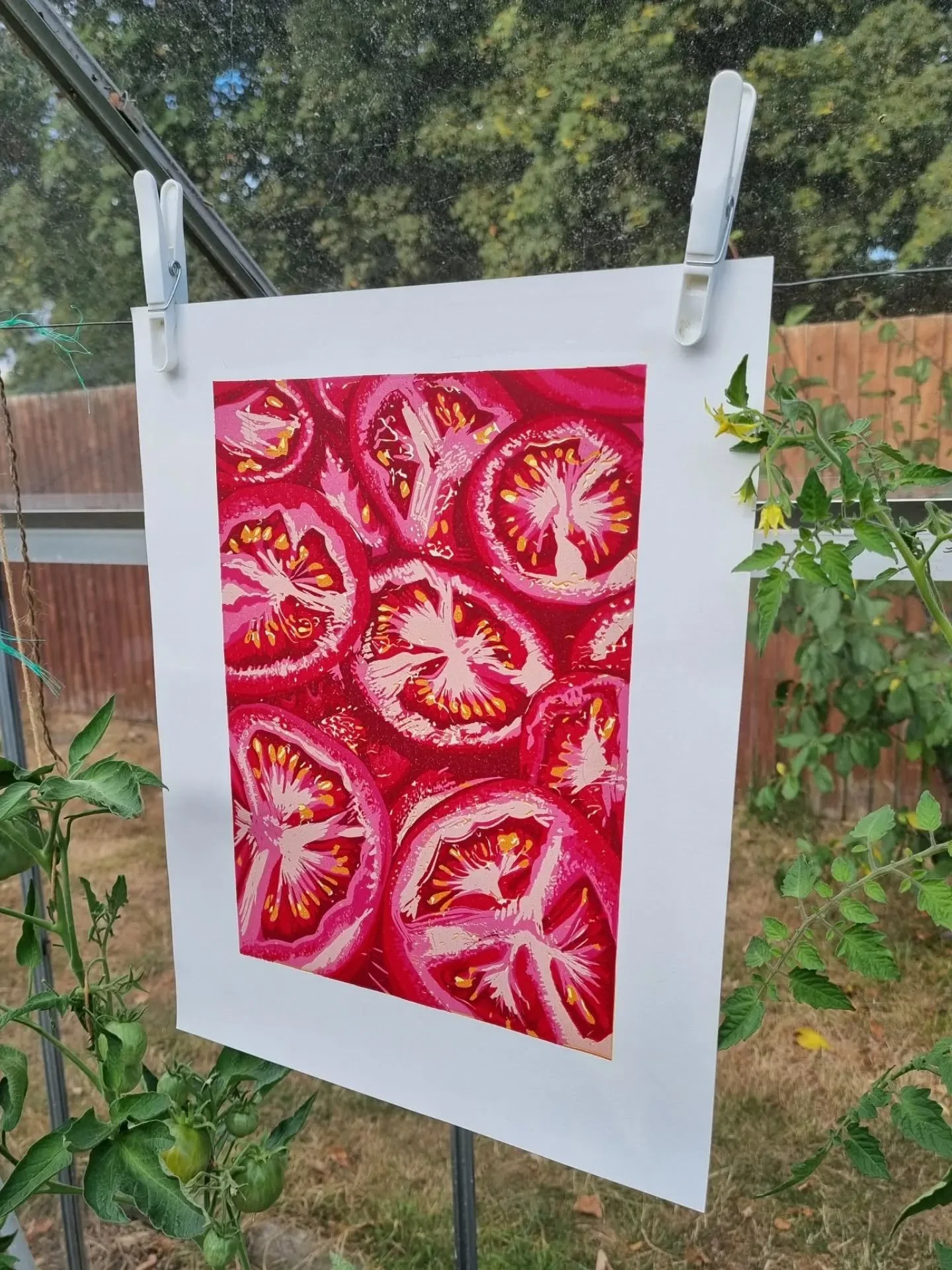 Its finished! First - A 7 layer lino reduction cut of delicious sliced toms, and second - also 7 layers, inspired by yellow/purple beauties like 'Alice's Dream'.
Join my mailing list to get notified of early release later today 👀 🍅 #linocut #linopr