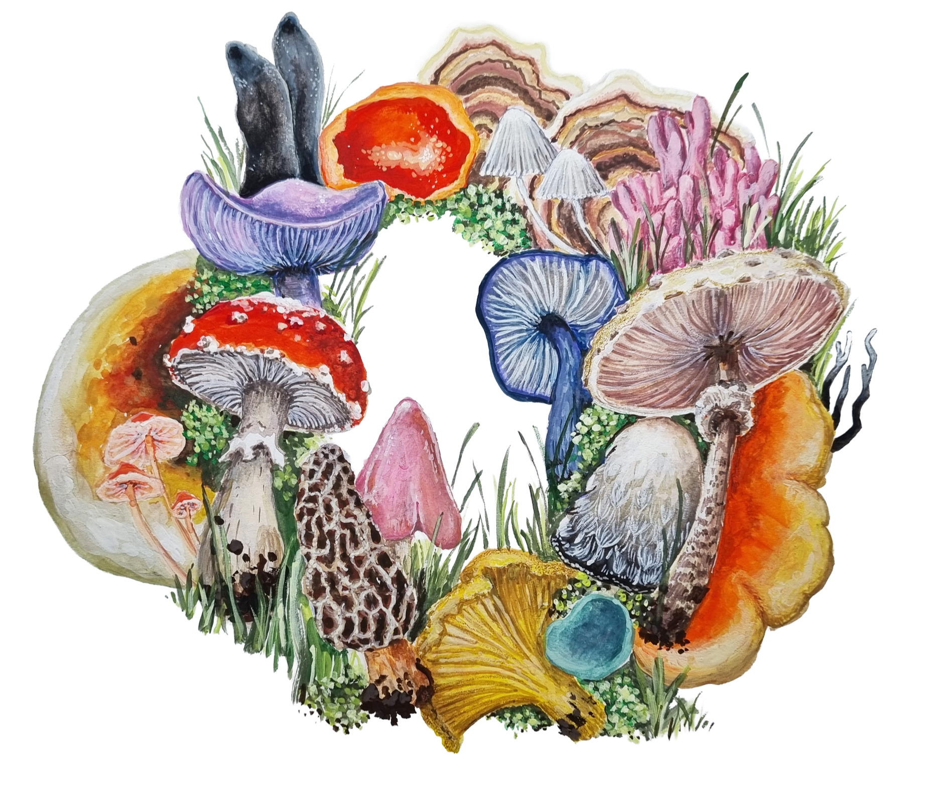 mushrooms white background.png