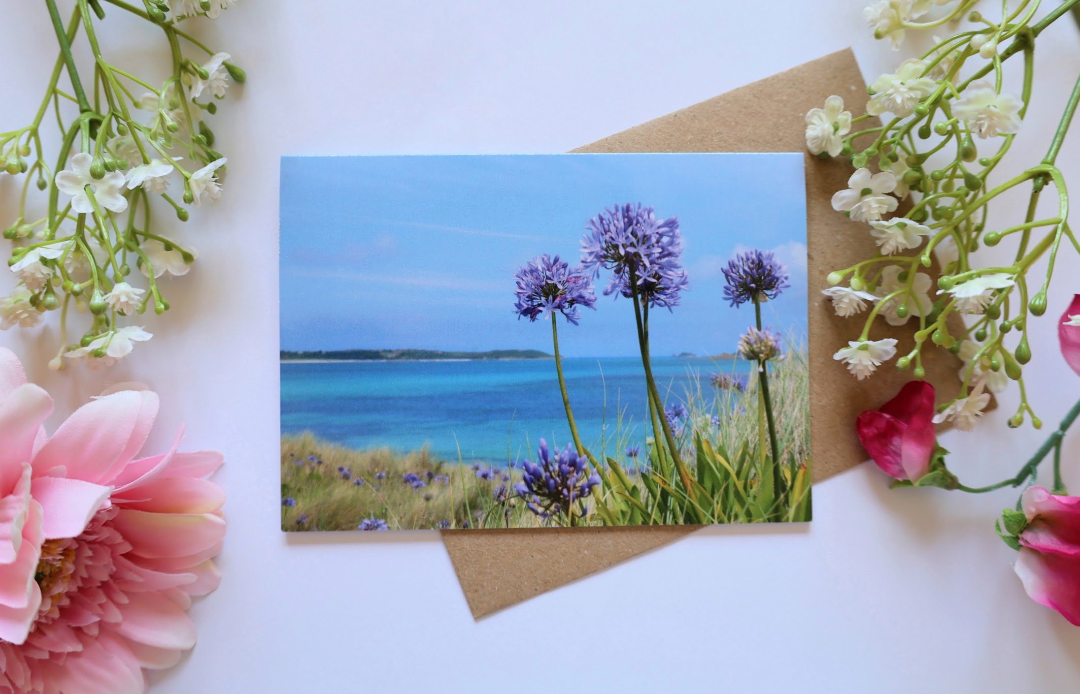 Agapanthus Greeting Card