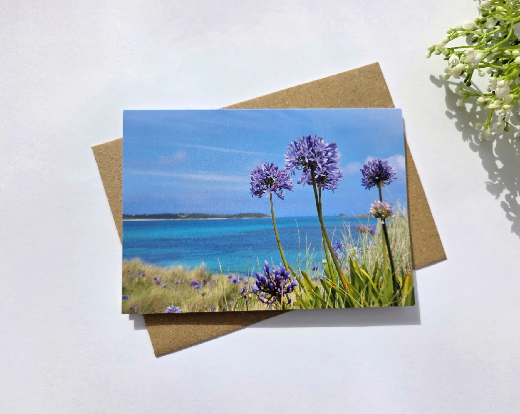 Agapanthus Greeting Card