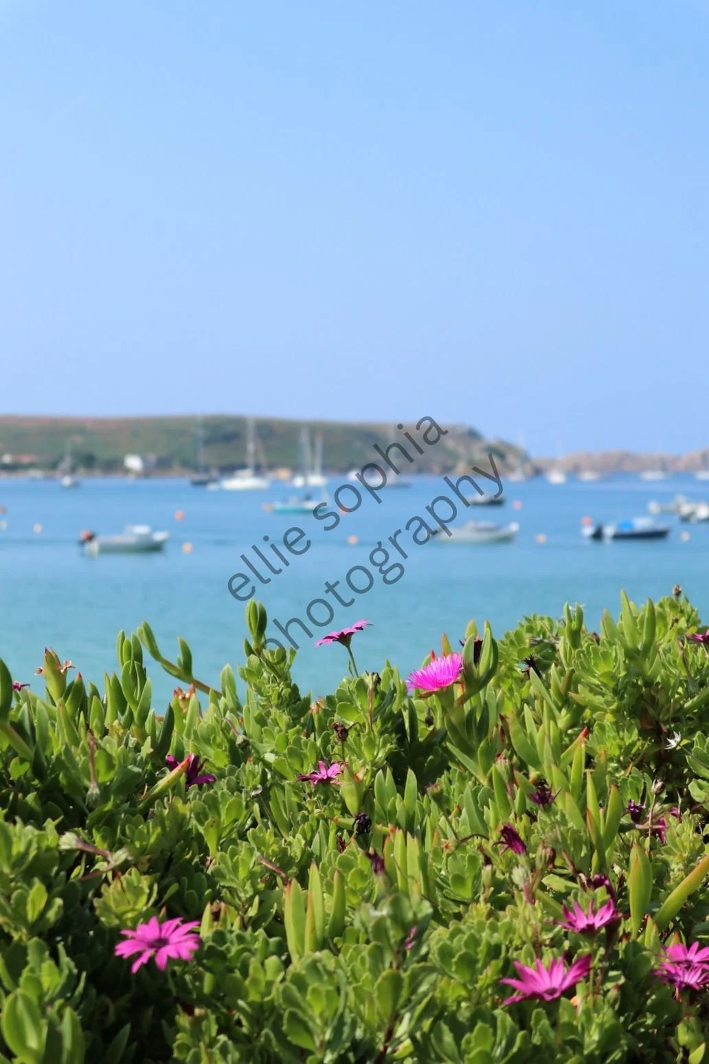 ellie sophia photography.jpg