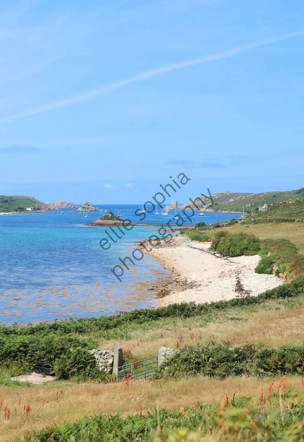 ellie sophia photography.jpg