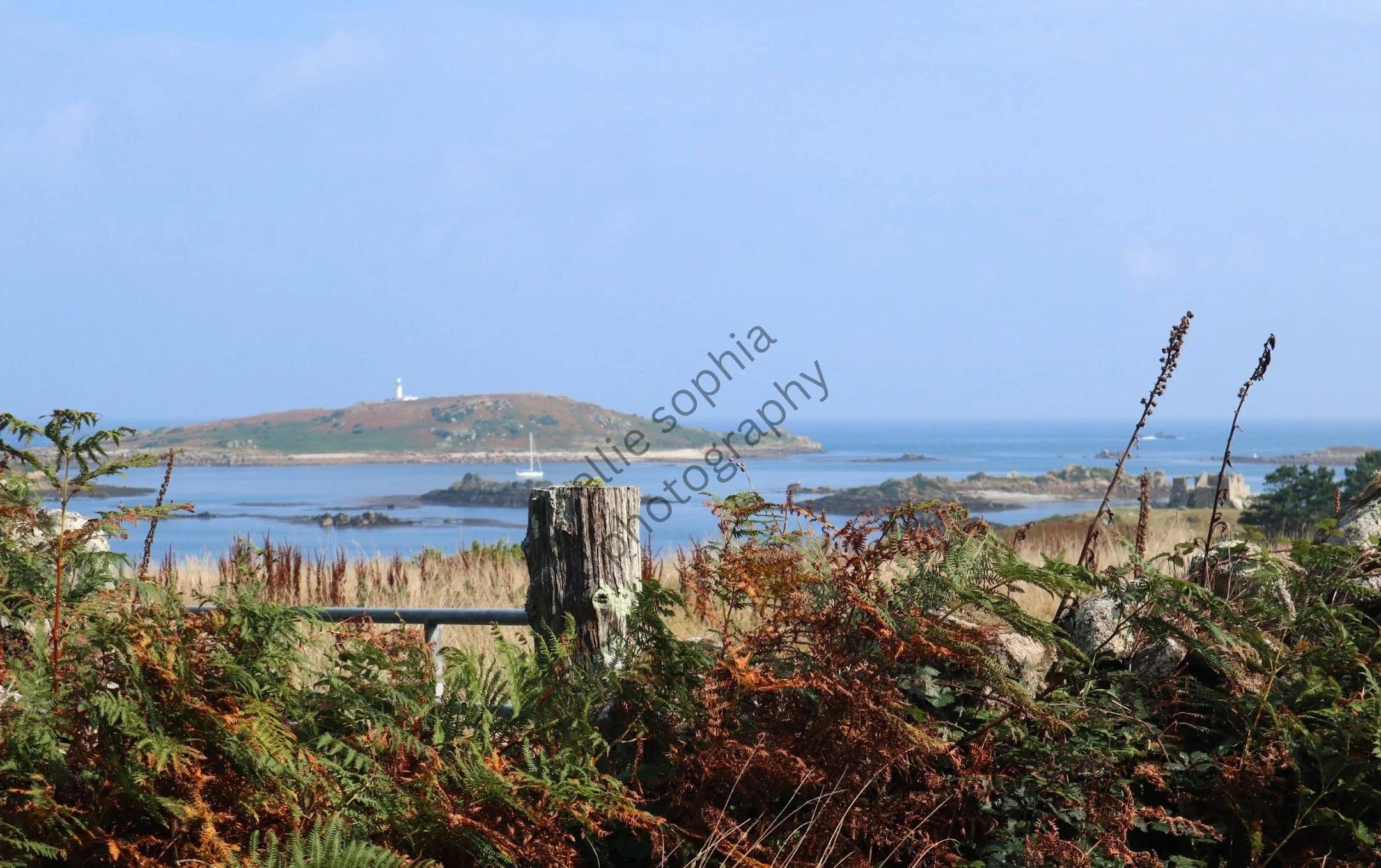 ellie sophia photography.jpg