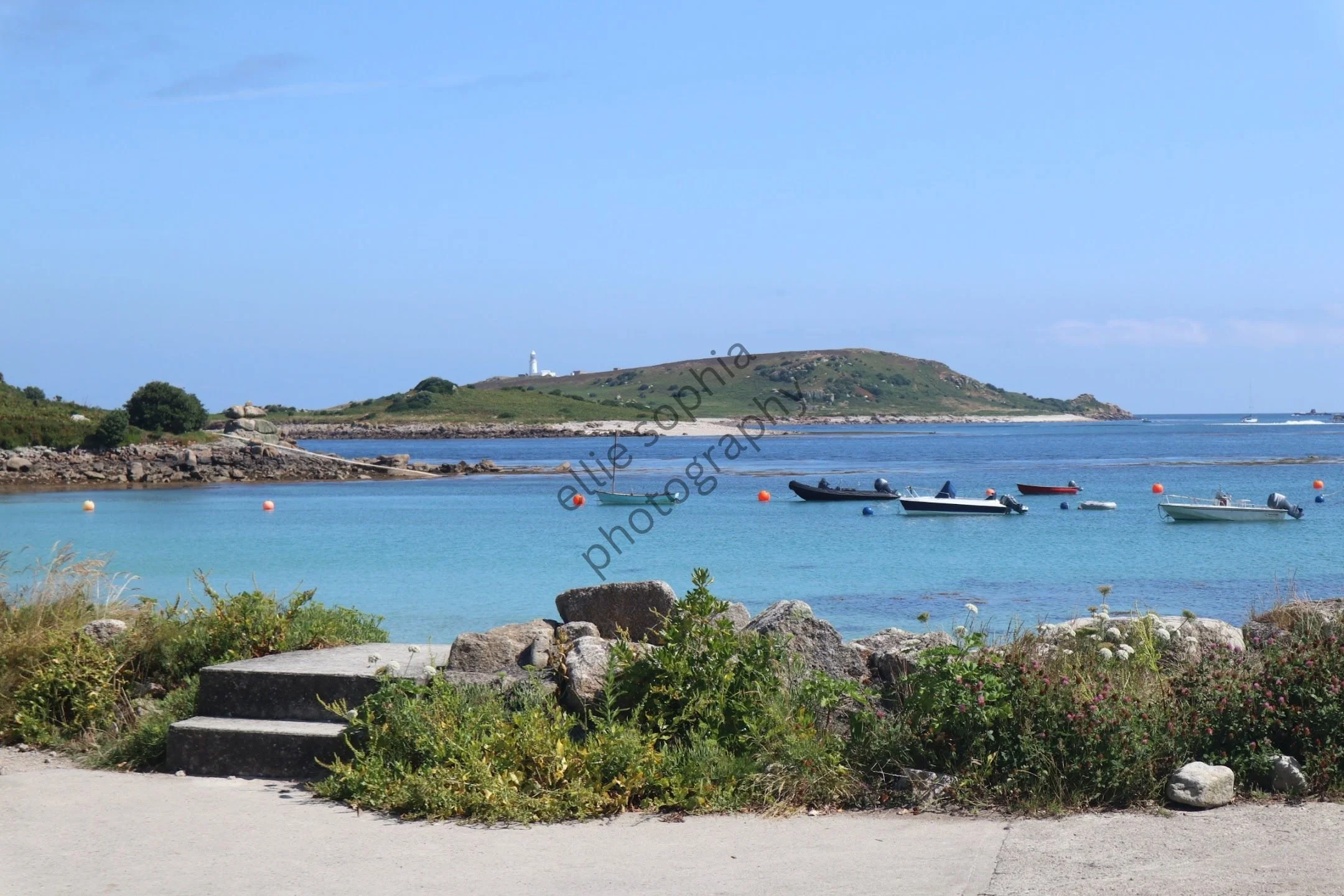 ellie sophia photography.jpg