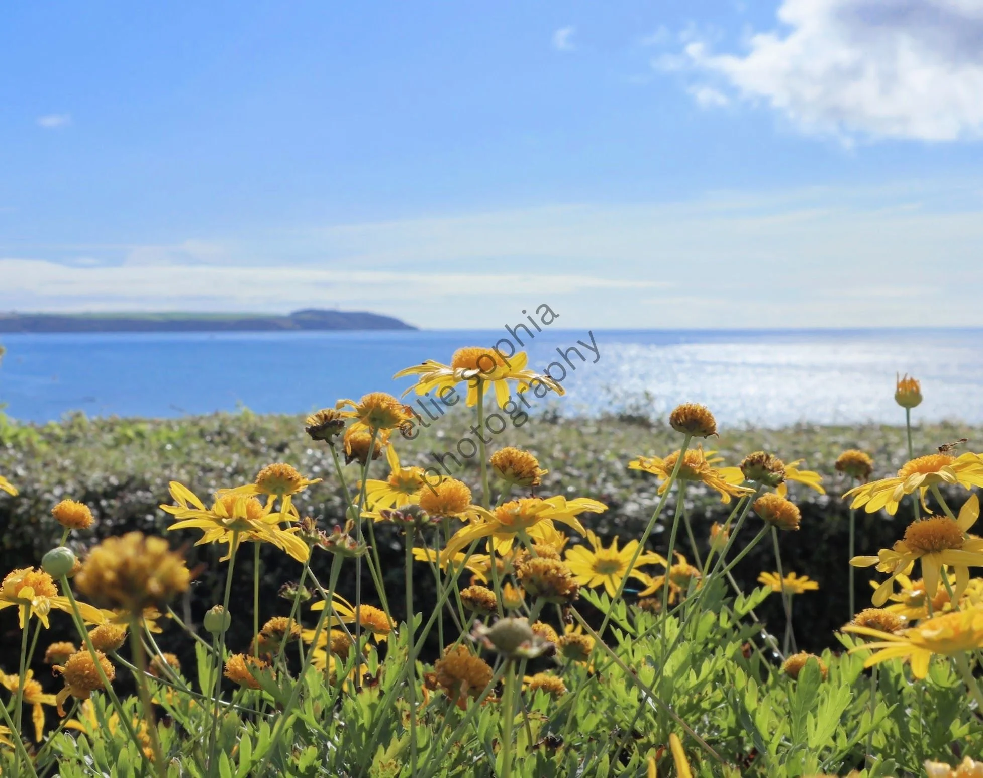 Charlestown, Cornwall