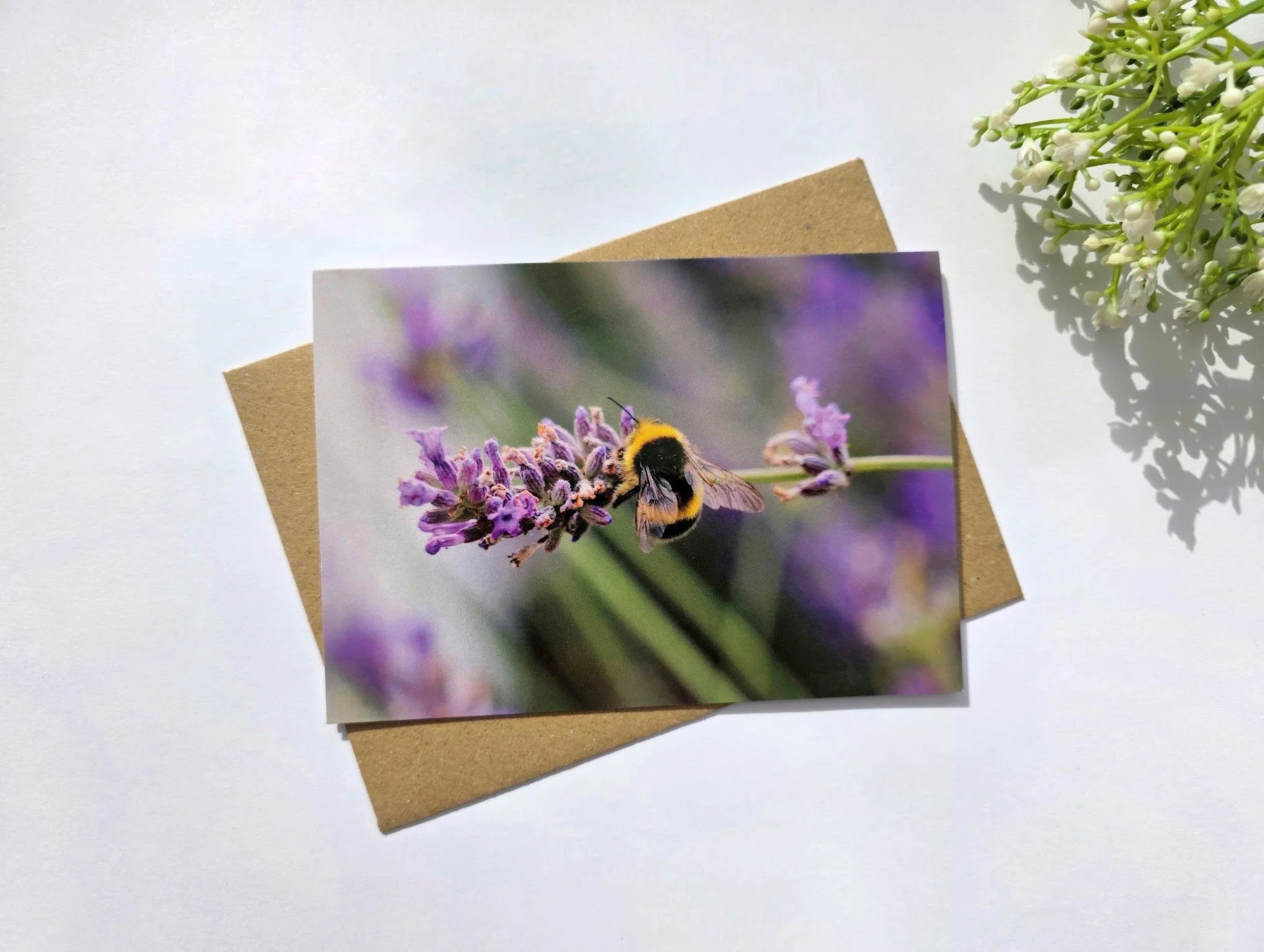 Bumblebee Greeting Card
