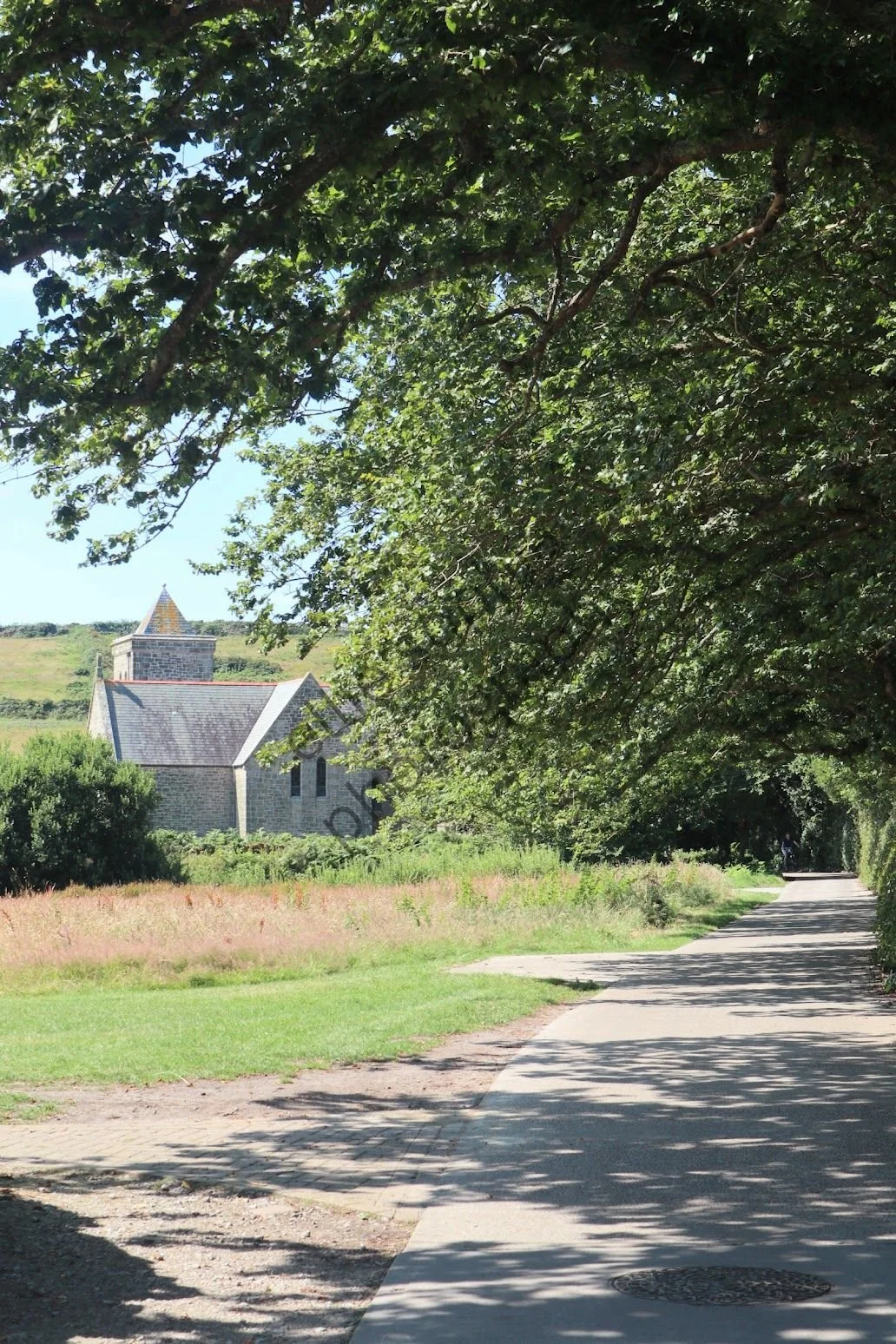 ellie sophia photography.jpg