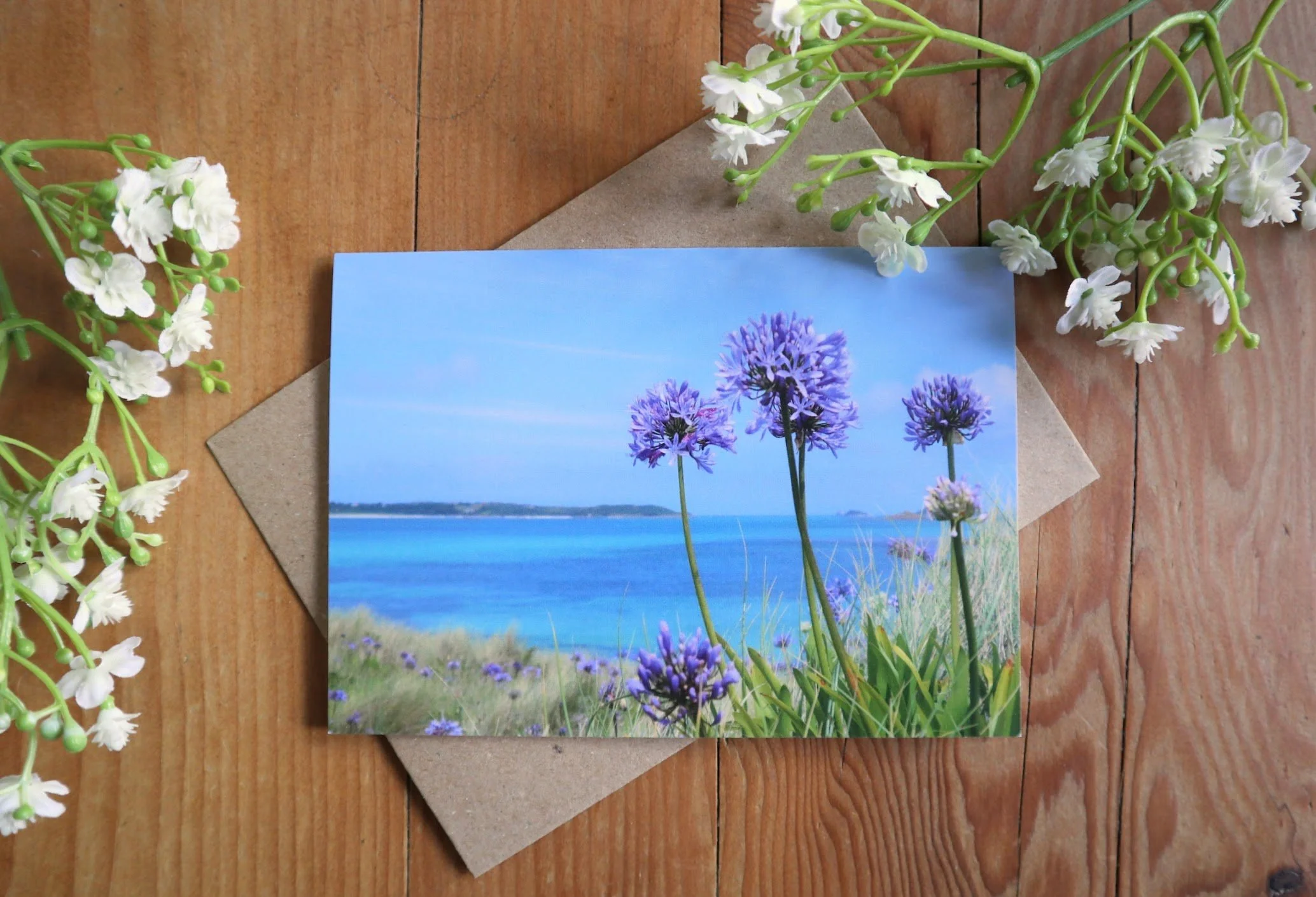Agapanthus Greeting Card