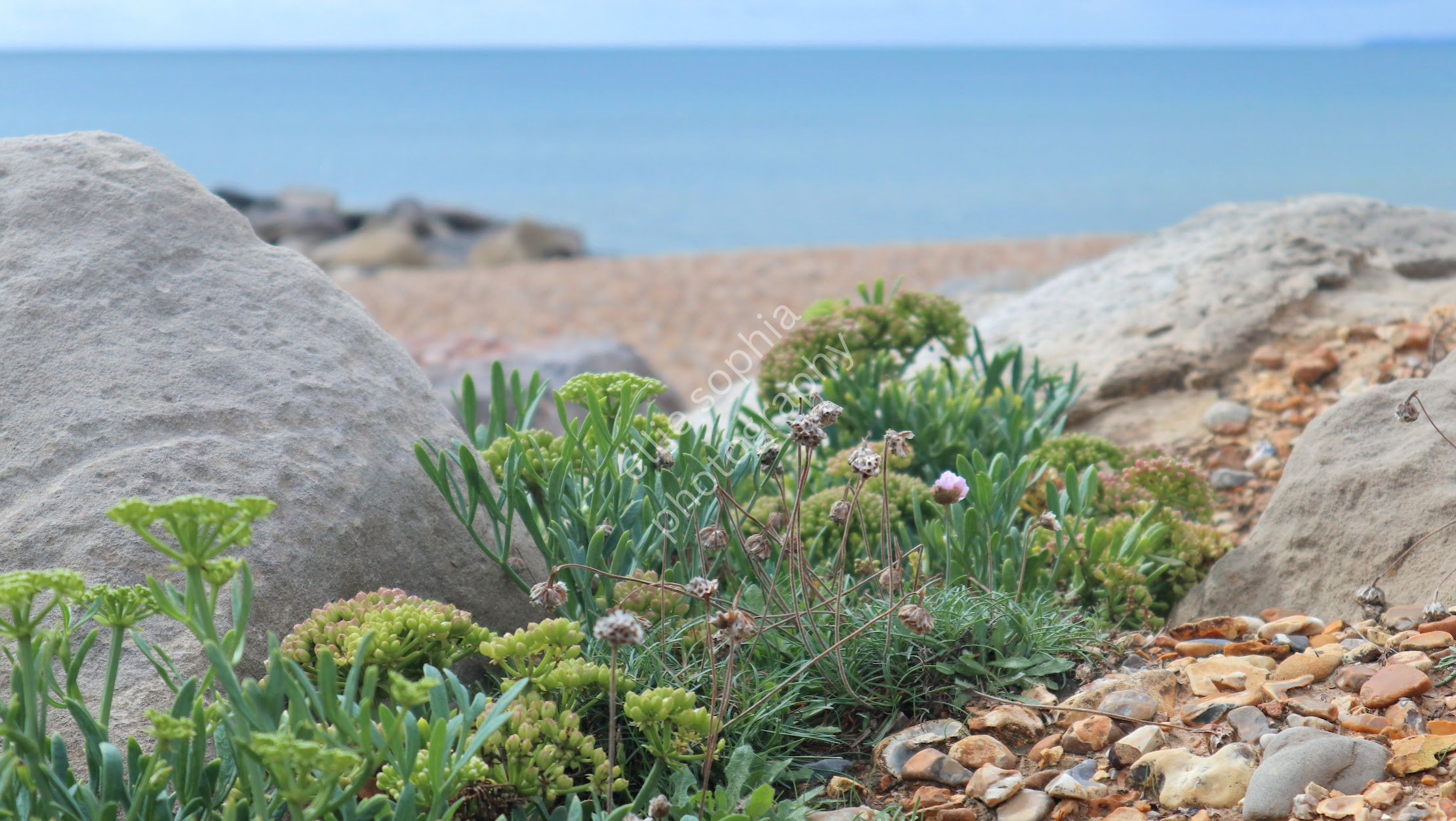 Barton-On-Sea, Hampshire
