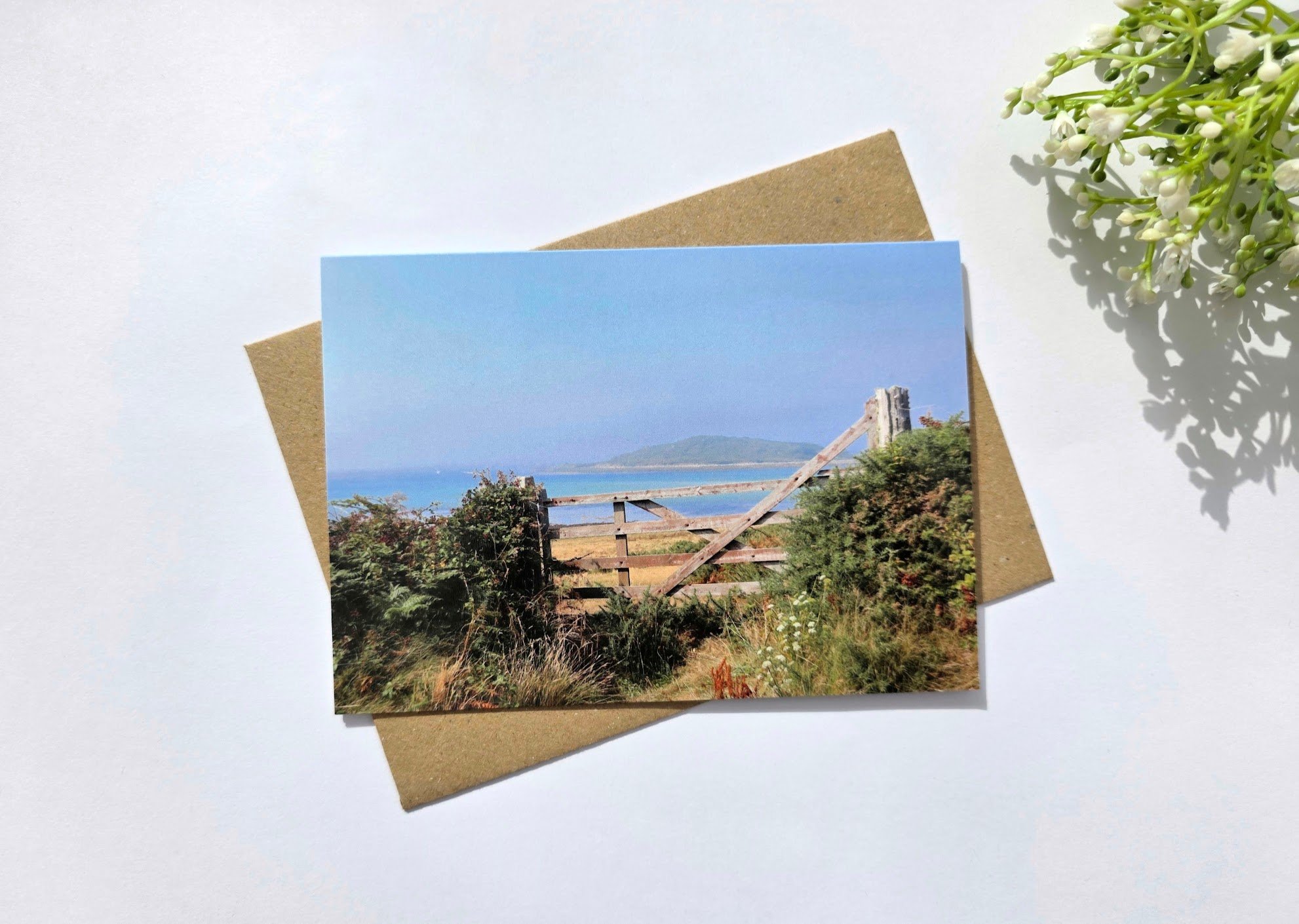 Summers Day Greeting Card