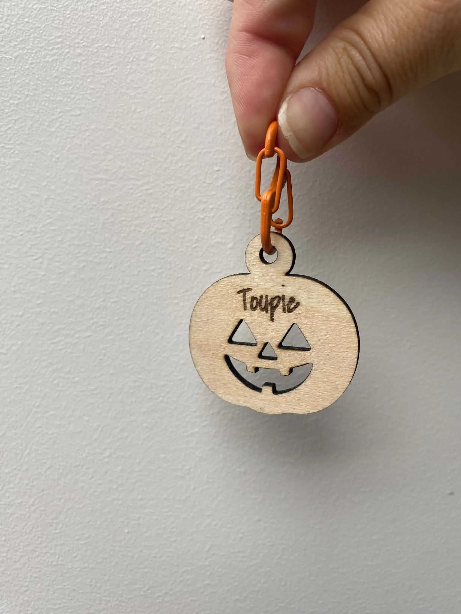 médaillon-citrouille-collier-chien-chat