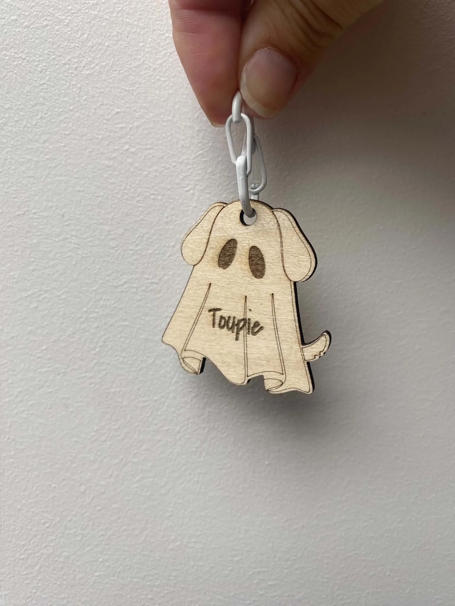 médaillon-fantome-collier-chien-chat