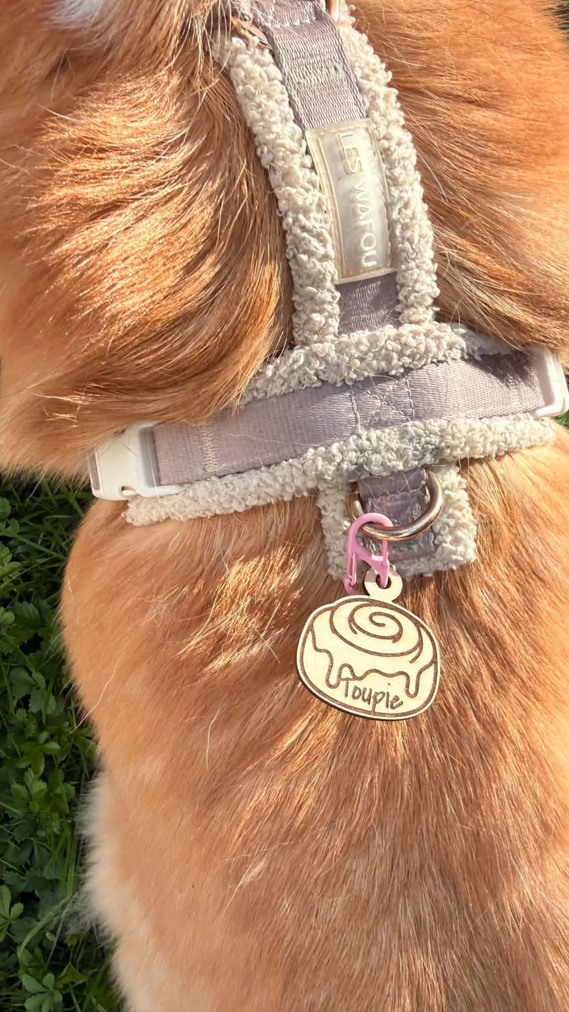 Médaillon de collier pour chien ou chat thème Halloween