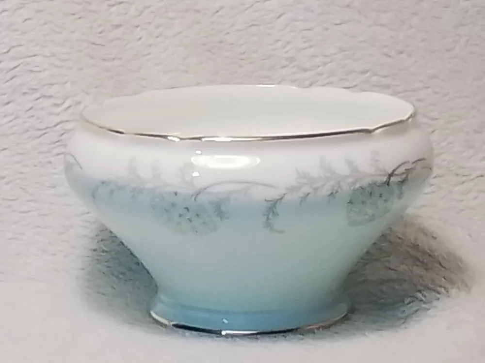 A white porcelain bowl with silver trim and floral design, placed against a textured light-colored background.